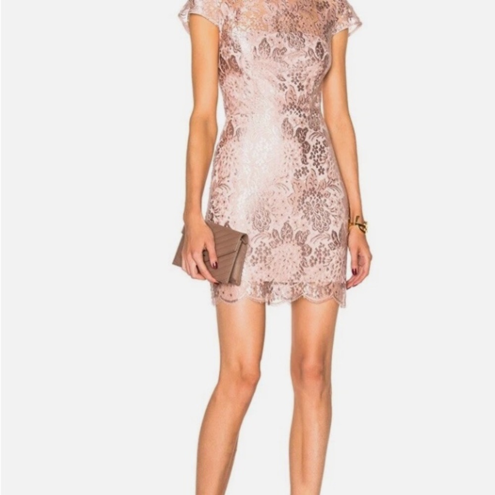 NWT Lover The Label Opium Fitted Mini Dress Size US 4 Petal Pink Lacework $790